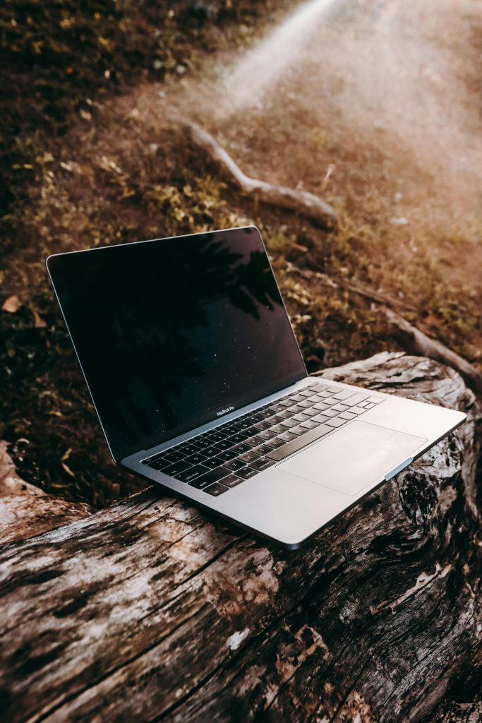 pexels jibarofoto 4005569